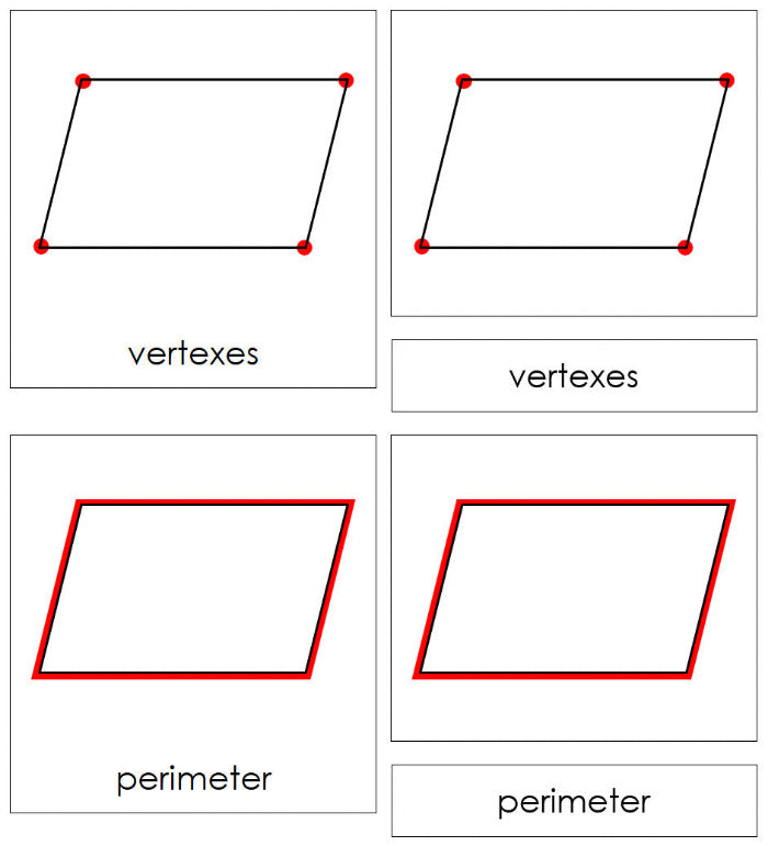 The Study of a Parallelogram Nomenclature Cards - Montessori Print Shop Digital Download