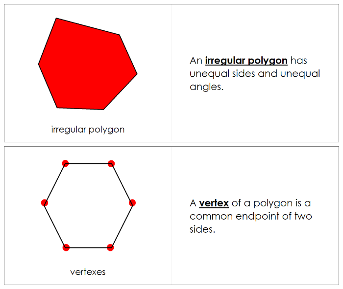The Study of a Polygon Nomenclature Book - Montessori Print Shop Digital Download
