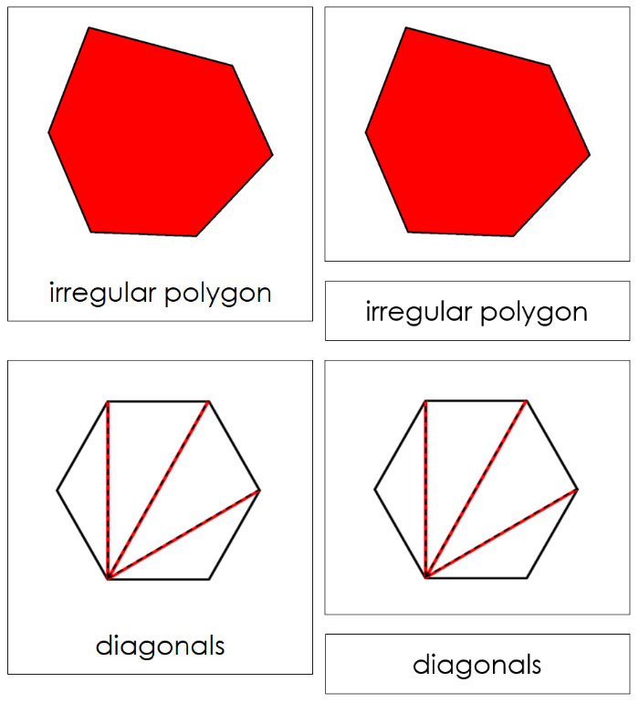 The Study of a Polygon Nomenclature Cards - Montessori Print Shop Digital Download