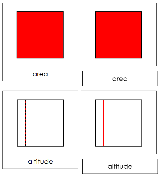 Study of a Square 3-Part Cards - Montessori Print Shop geometry cards