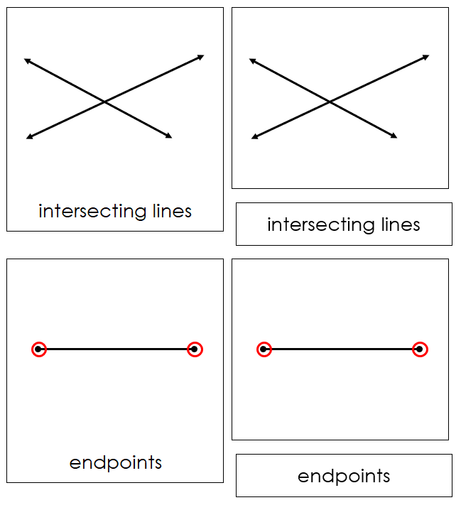The Study of Lines 3-Part Cards - Montessori Print Shop Digital Download