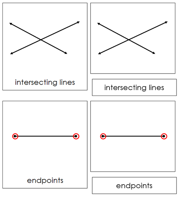 The Study of Lines Cards - Montessori Print Shop geometry cards