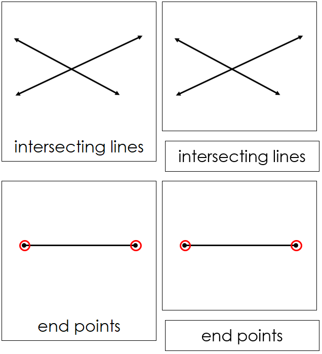 The Study of Lines Nomenclature Cards - Montessori Print Shop Digital Download