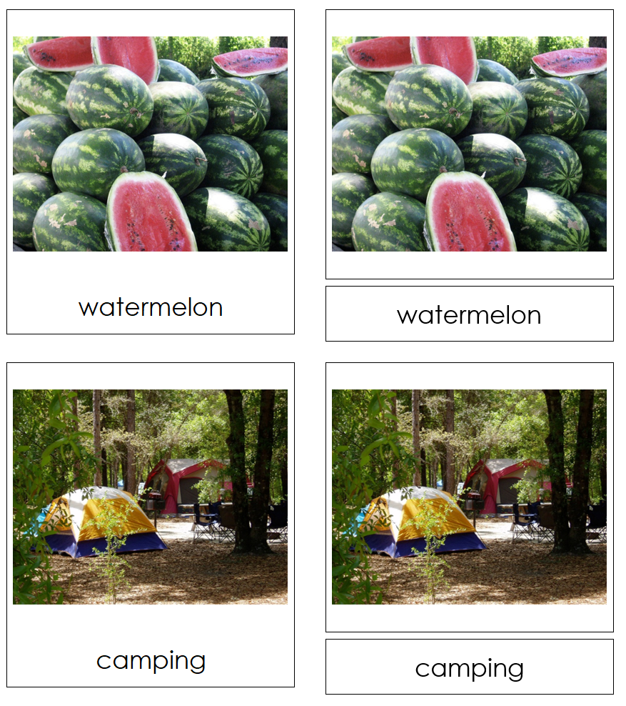 Types of Summer Season Images 3-Part Cards - Montessori Print Shop Digital Download