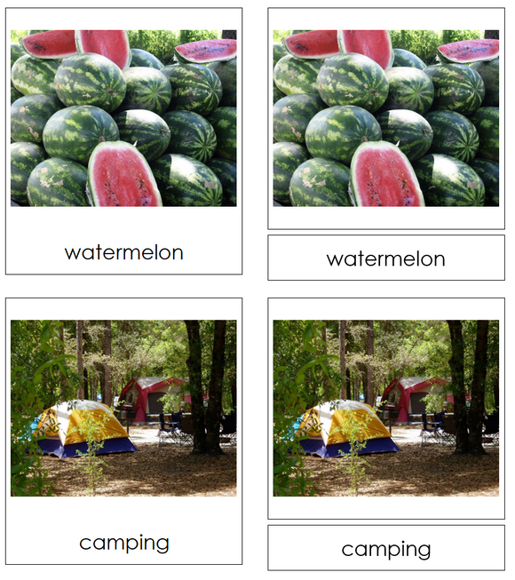 Types of Summer Season Images 3-Part Cards - Montessori Print Shop Digital Download