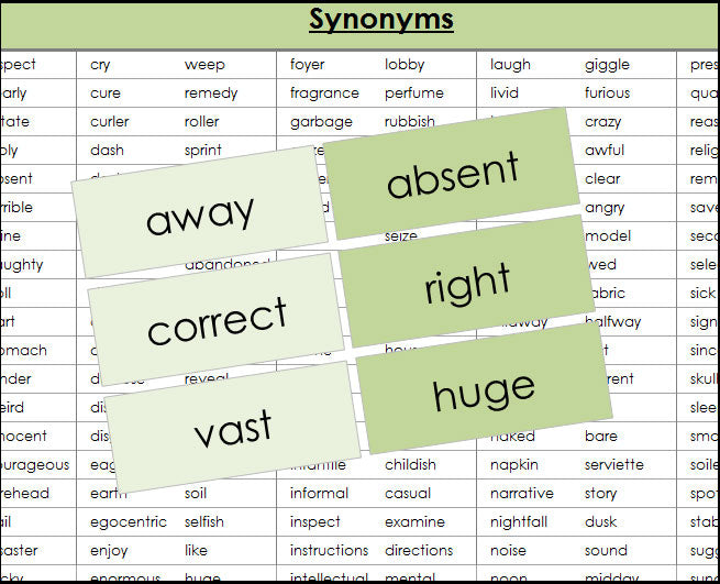 synonym cards (color) - Montessori Print Shop Digital Download grammar