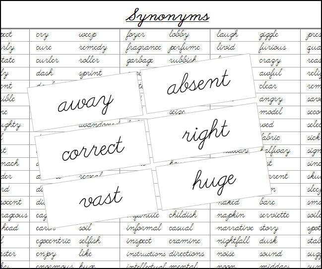 Synonyms Matching Cards - Montessori Print Shop Grammar Lessons