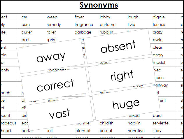 Synonyms Matching Cards & Control Chart - Montessori Print Shop Digital Download Grammar Lesson