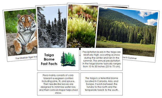 Taiga Biome Fast Facts and Pictures - Montessori Print Shop Digital Download