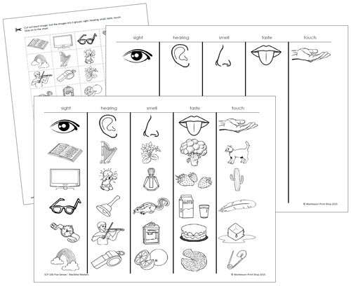 The Five Senses blackline Masters - Montessori Print Shop Digital Download