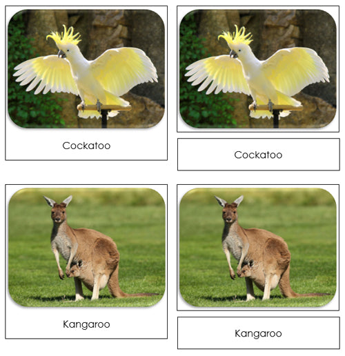 The Land Down Under Safari Toob Cards - Montessori Print Shop