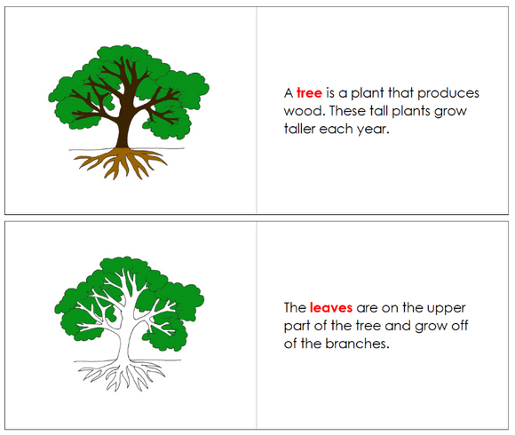 Montessori Tree Nomenclature Definition Set - Montessori Print Shop Digital Download nomenclature