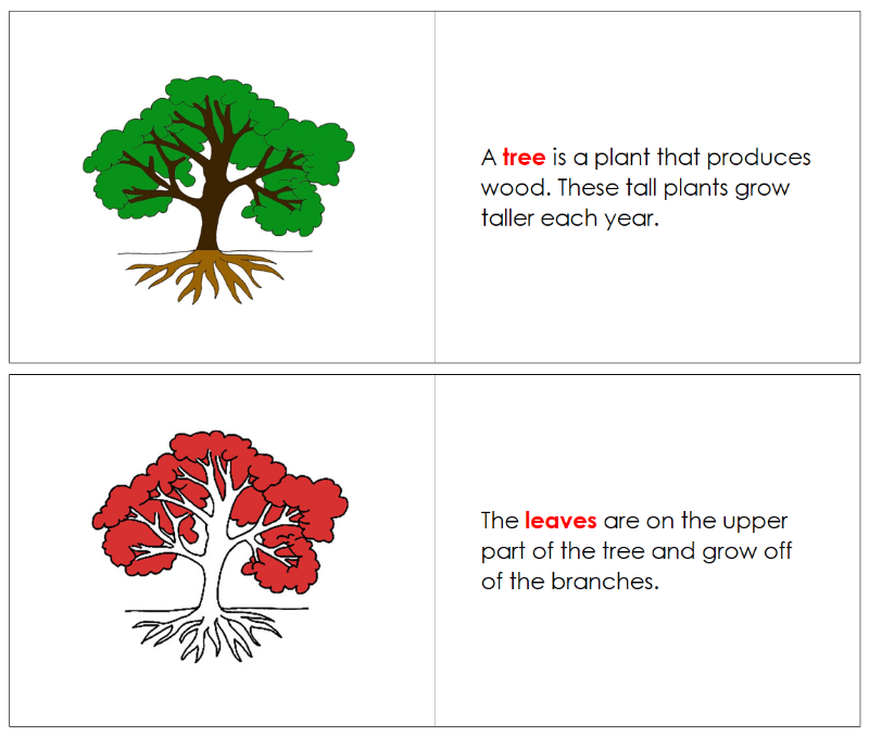 Montessori Tree Nomenclature Book - Montessori Print Shop Digital Download 