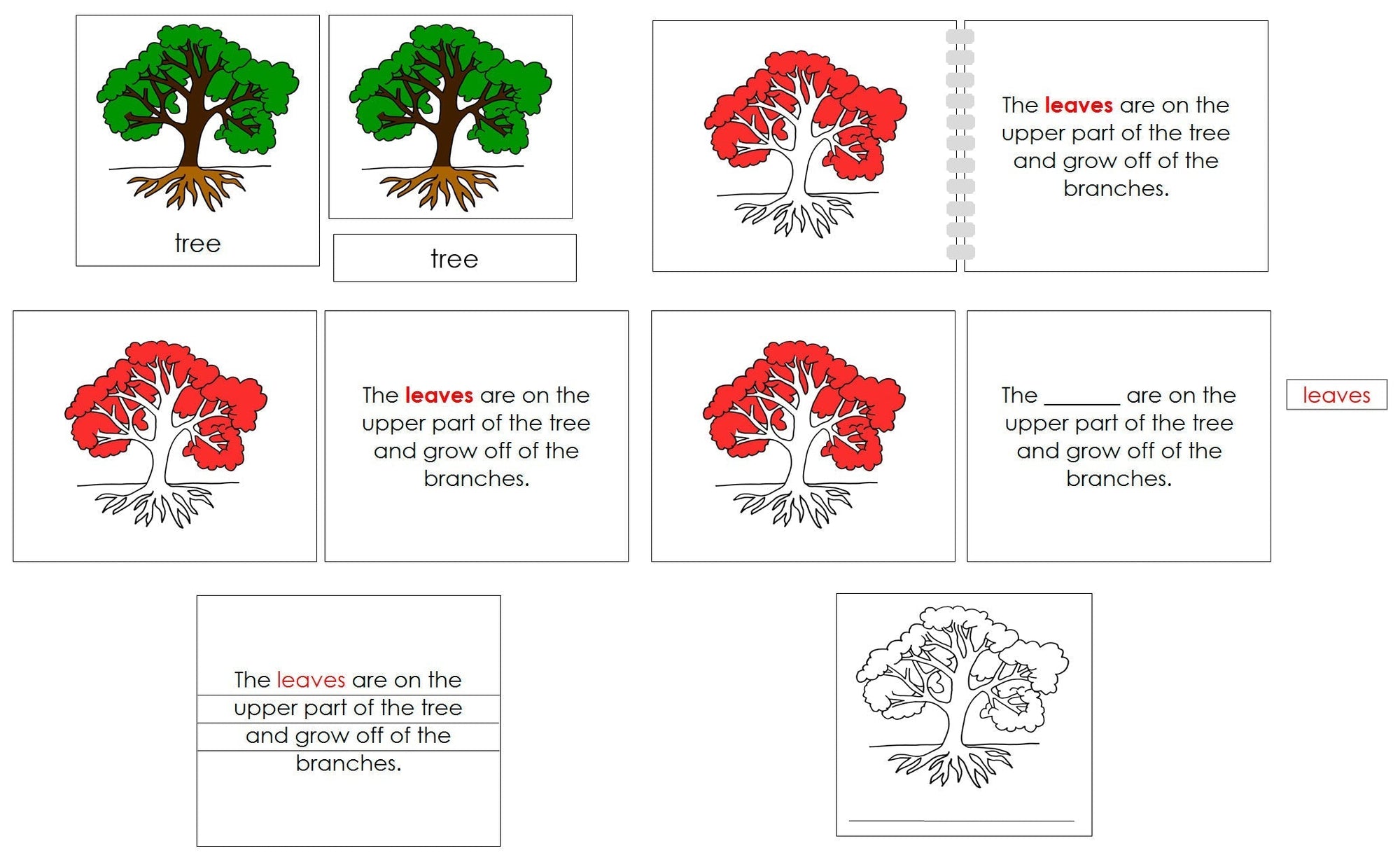 Tree Definition Set - Montessori Print Shop Digital Download nomenclature