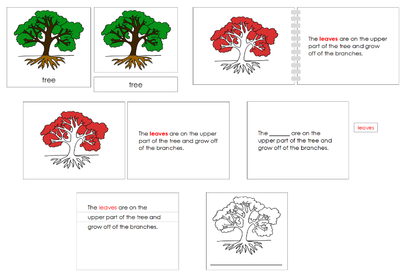 Montessori Tree Nomenclature Definition Set - Montessori Print Shop Digital Download 