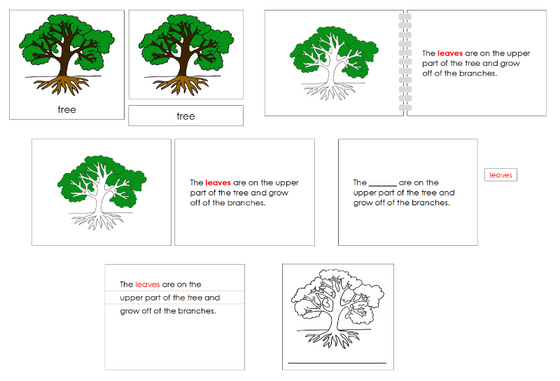 Montessori Tree Nomenclature Definition Set - Montessori Print Shop Digital Download nomenclature