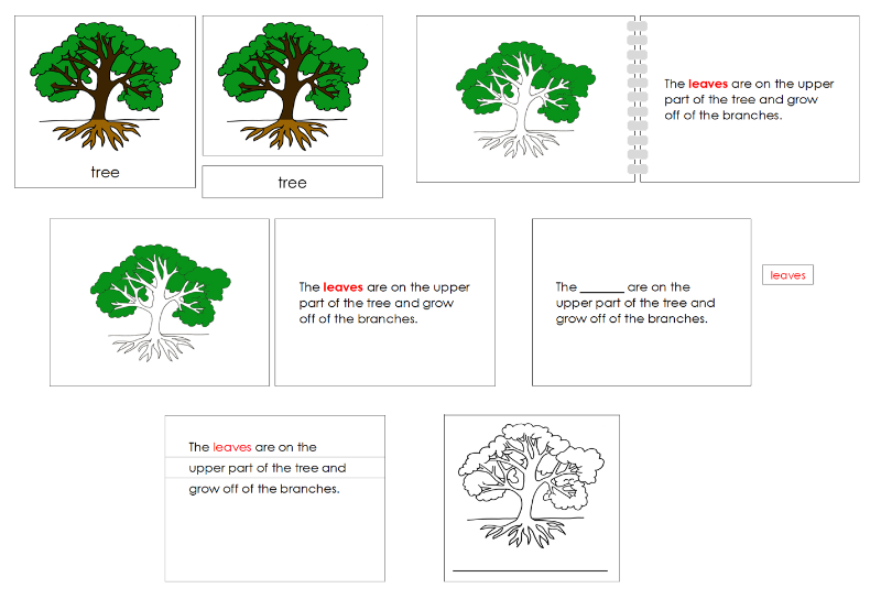 Montessori Tree Nomenclature Definition Set - Montessori Print Shop Digital Download nomenclature