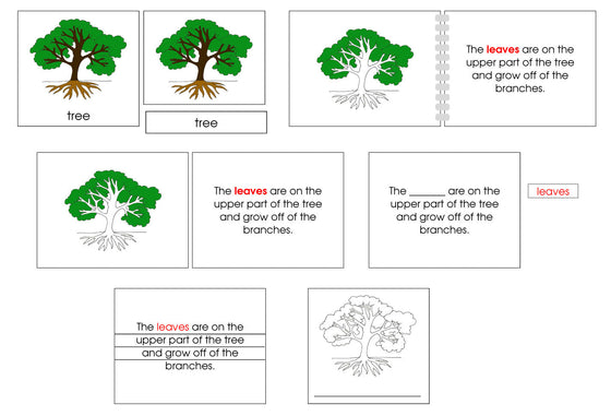 Tree Definition Set - Montessori Print Shop nomenclature