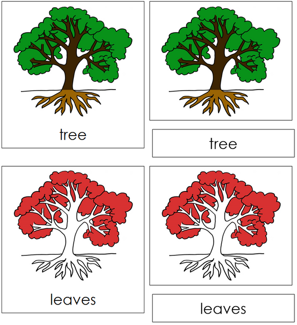 Botany Nomenclature Bundle (Red) Set 1 - Montessori Print Shop