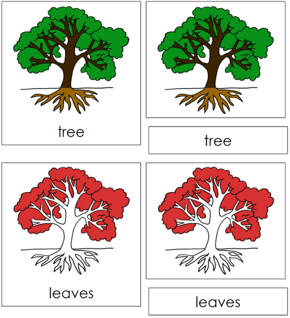 Tree Nomenclature Cards - Montessori Print Shop Digital Download