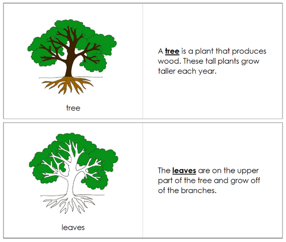 Parts of a Tree Nomenclature Book - Montessori Print Shop Digital Download