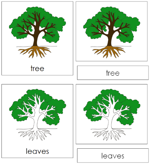 Tree Nomenclature Cards - Montessori Print Shop Digital Download