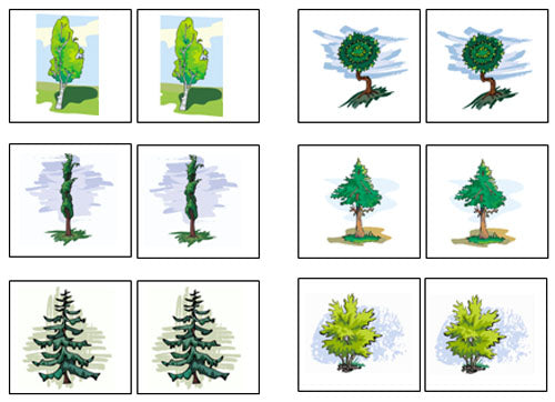 Tree Match-Up & Memory Game - Montessori Print Shop