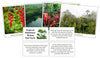 Tropical Rainforest Biome Fast Facts & Pictures - Montessori Print Shop