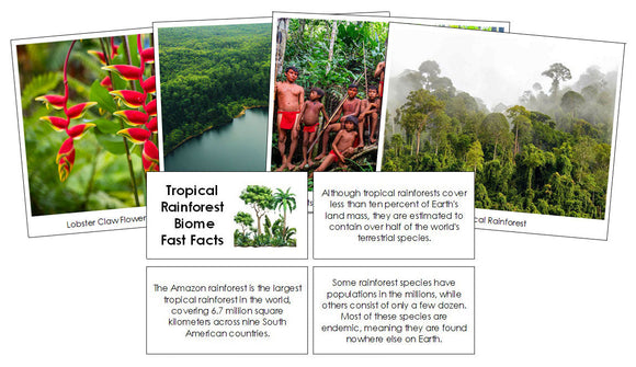 Tropical Rainforest Biome Fast Facts and Pictures - Montessori Print Shop Digital Download