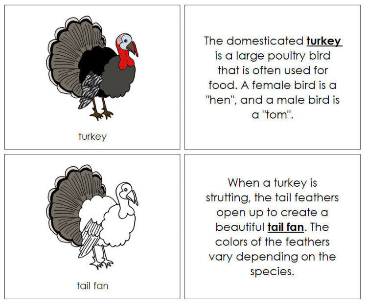Parts of a Turkey Nomenclature Book - Montessori Print Shop Digital Download