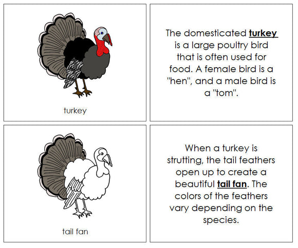 Parts of a Turkey Nomenclature Book - Montessori Print Shop