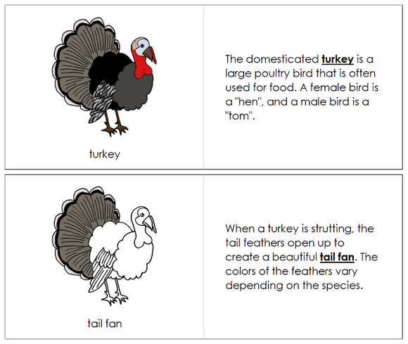 Parts of a Turkey Nomenclature Book - Montessori Print Shop Digital Download