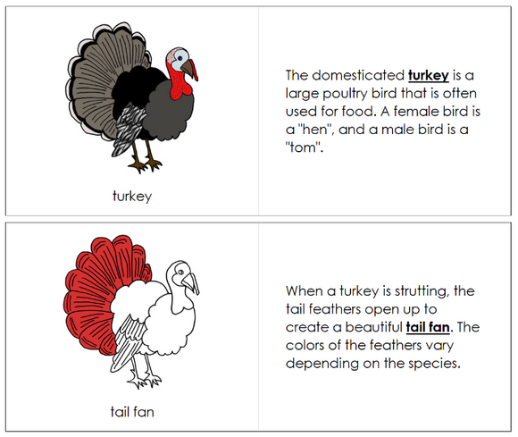 Parts of a Turkey Nomenclature Book (red) - Montessori Print Shop Digital Download
