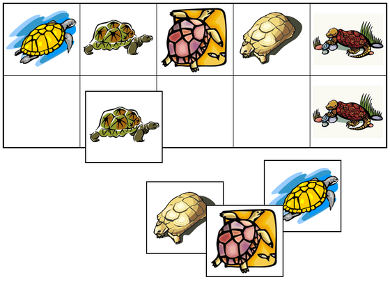 Turtle Match-Up & Memory Game - Montessori Print Shop