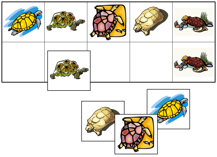 Turtle Match-Up & Memory Game - Montessori Print Shop