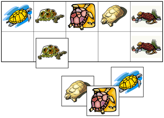 Turtle Match-Up & Memory Game - Montessori Print Shop Digital Download