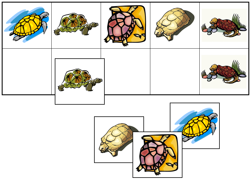 Turtle Match-Up & Memory Game - Montessori Print Shop Digital Download