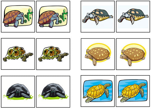 Turtle Match-Up & Memory - Montessori Print Shop Digital Download
