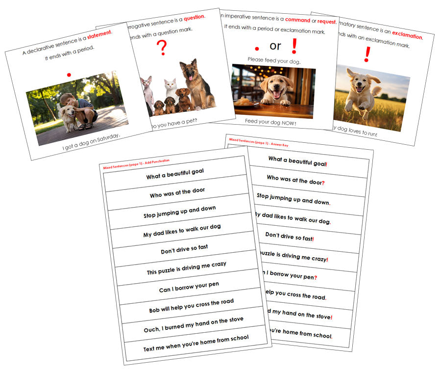 Types of Sentences  - Montessori Print Shop Digital Download