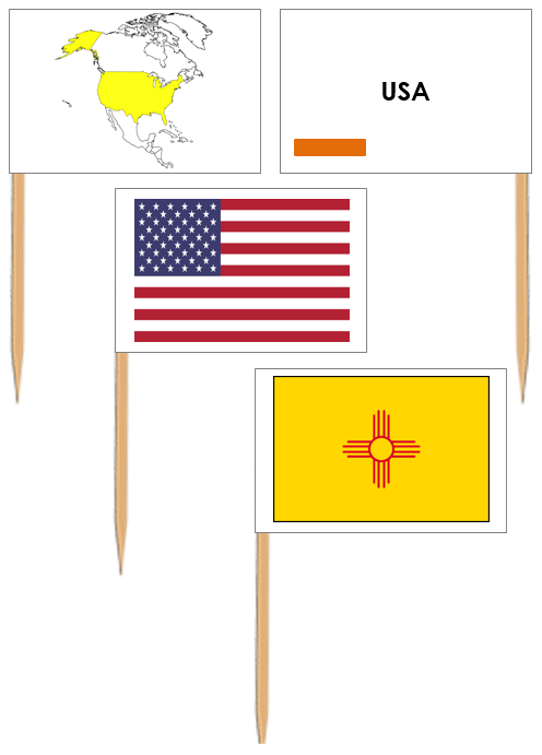 United States Flags: Pin Flags - Montessori geography materials