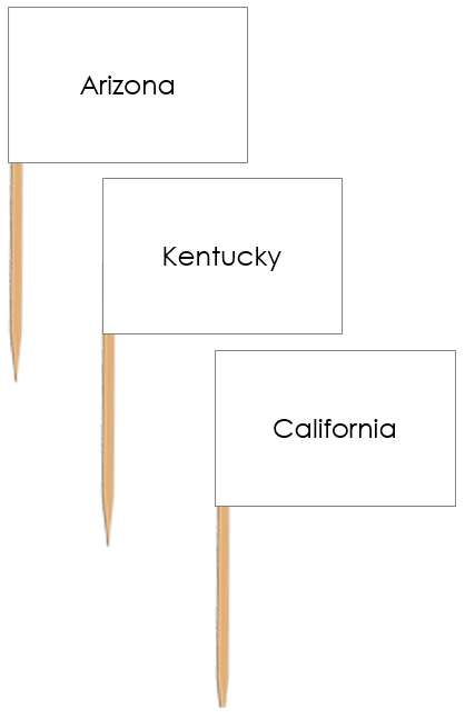 United States Map Labels: Pin Flags - Montessori Print Shop Digital Download geography materials