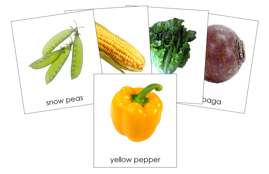 Types of Vegetables 3-Part Cards - Montessori Print Shop Digital Download