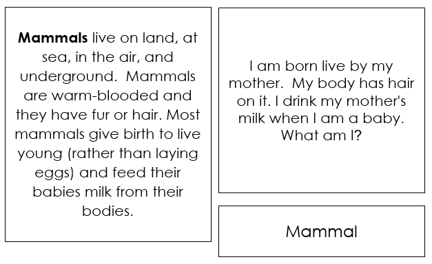 Vertebrate Quiz Cards