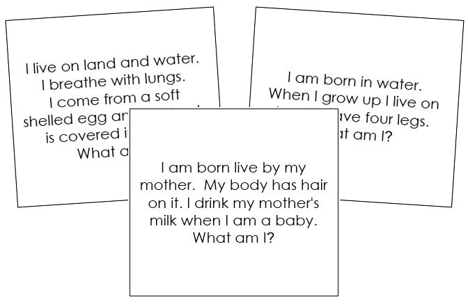 Vertebrate Quiz Cards - Montessori Print Shop Digital Download
