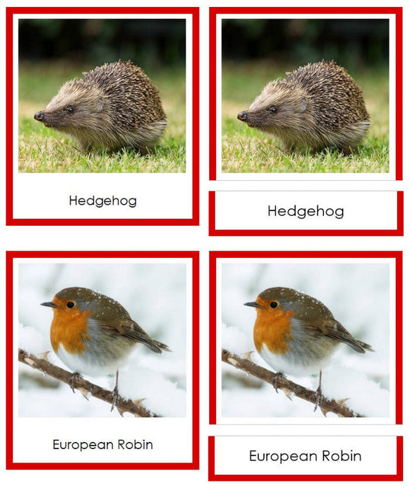 Vertebrates of Europe Sorting Lesson (color borders) - Montessori Print Shop Digital Download