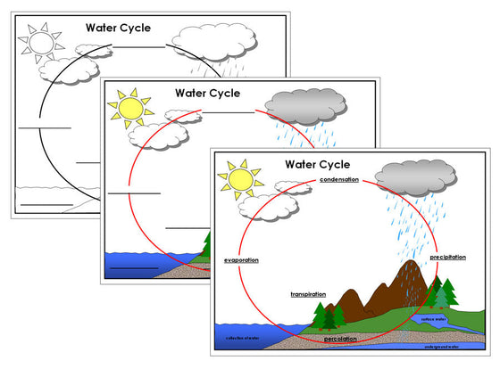 The Water Cycle Charts, Defintion Cards, and Blackline Master - Montessori Print Shop Digital Download science lesson