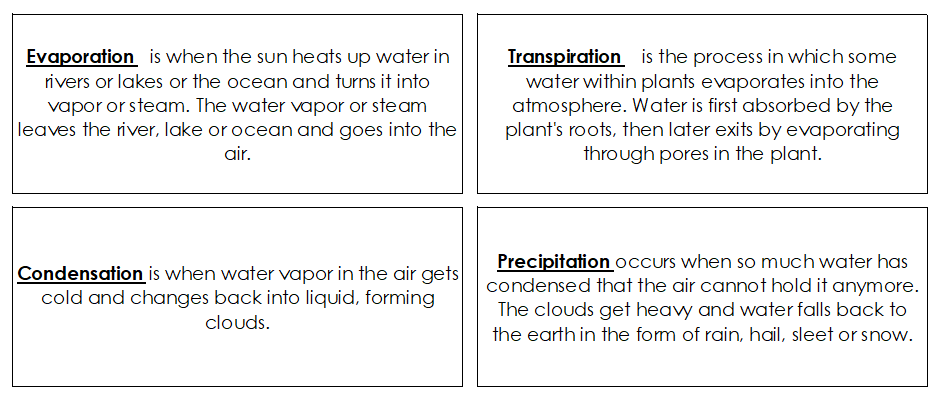 The Water Cycle Charts, Defintion Cards, and Blackline Master - Montessori Print Shop Digital Download science lesson