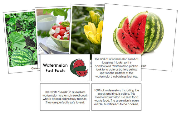 Watermelon Fast Facts & Pictures - Montessori Print Shop Digital Download