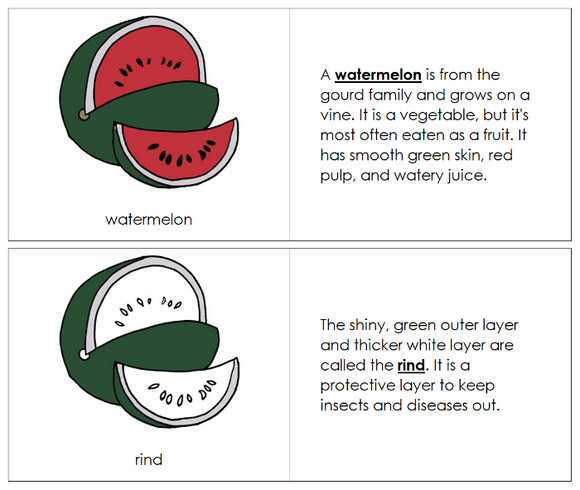 Parts of a Watermelon Nomenclature Book - Montessori Print Shop Digital Download
