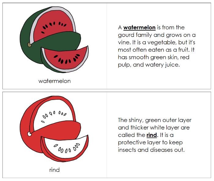 Parts of a Watermelon Nomenclature Book (red) - Montessori Print Shop Digital Download